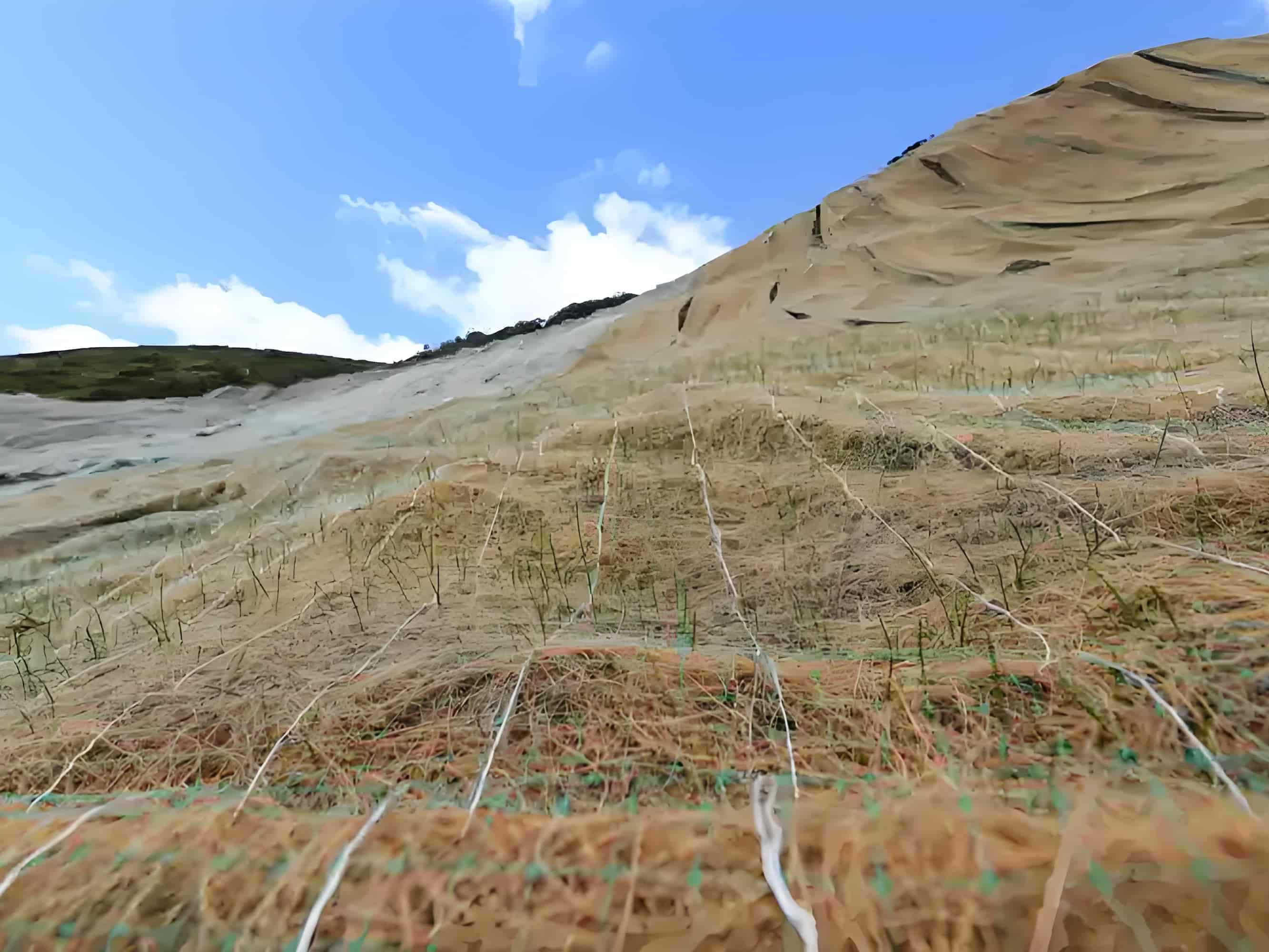 Introdução à produção de manta de controle de erosão em fibra natural (manta de coco)