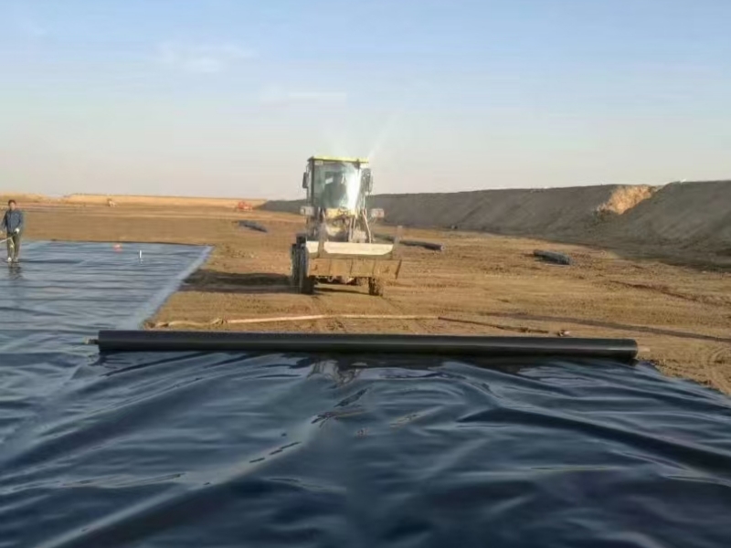 Impermeabilização de tanques de peixes no Quênia - Nuokun New Materials Co., Ltd.