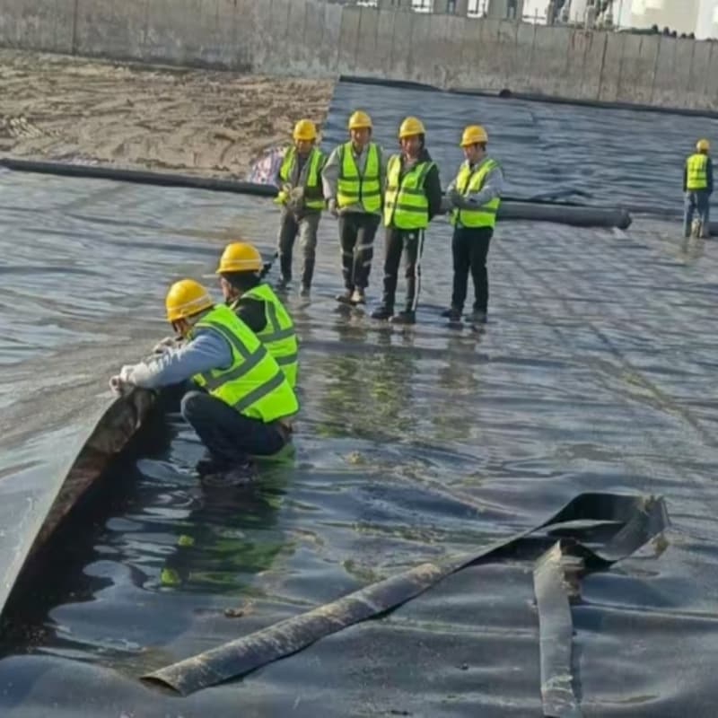 hdpe geomembrane  landfill